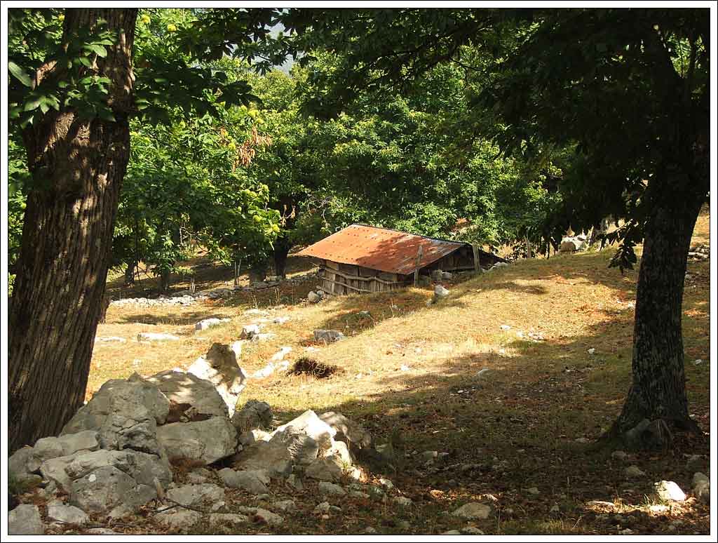 La casa ne bosco