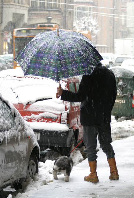 pip sotto la neve