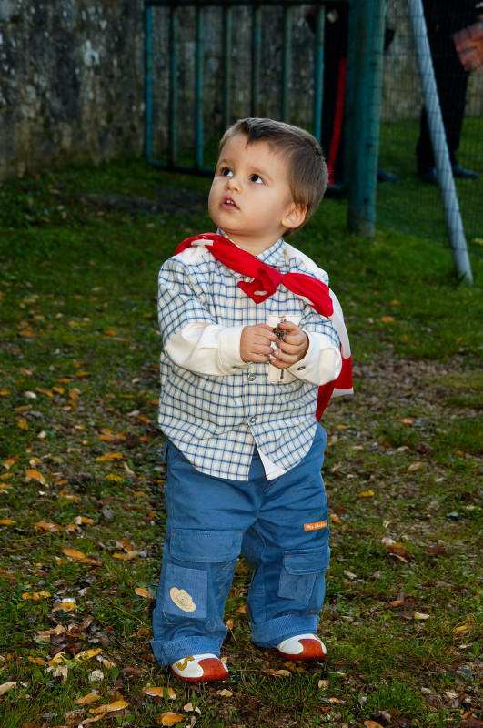 Stefano