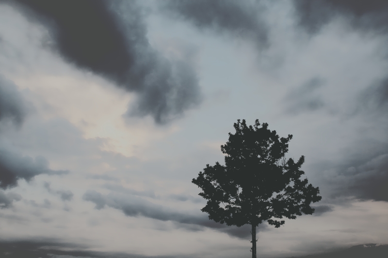 Il Cielo Sopra...