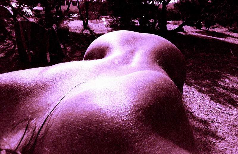 torso