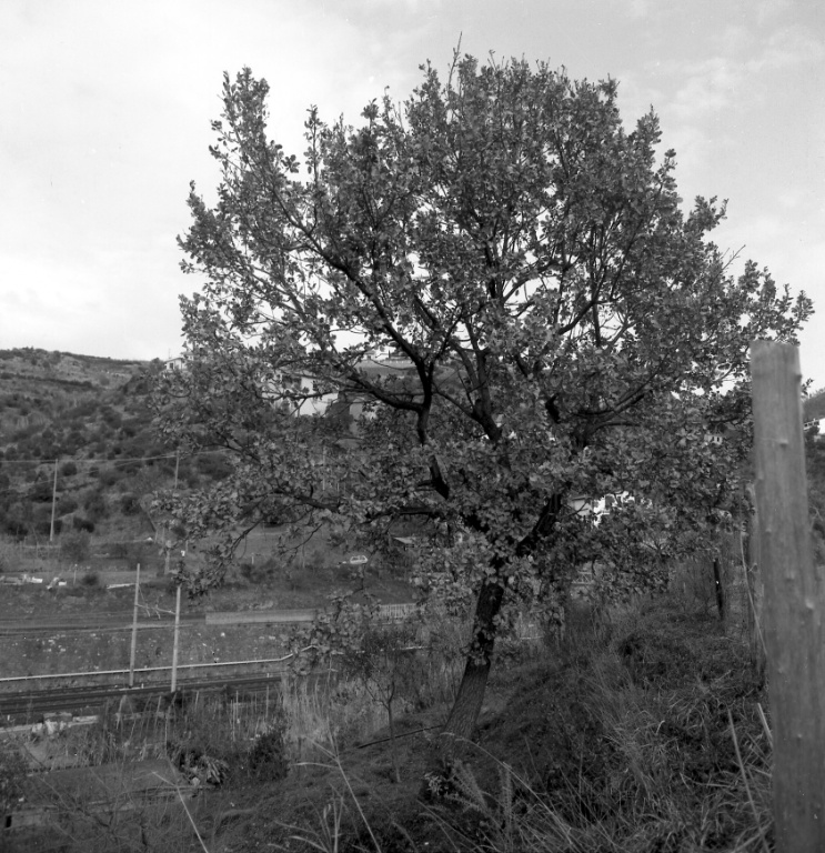 Riva valle