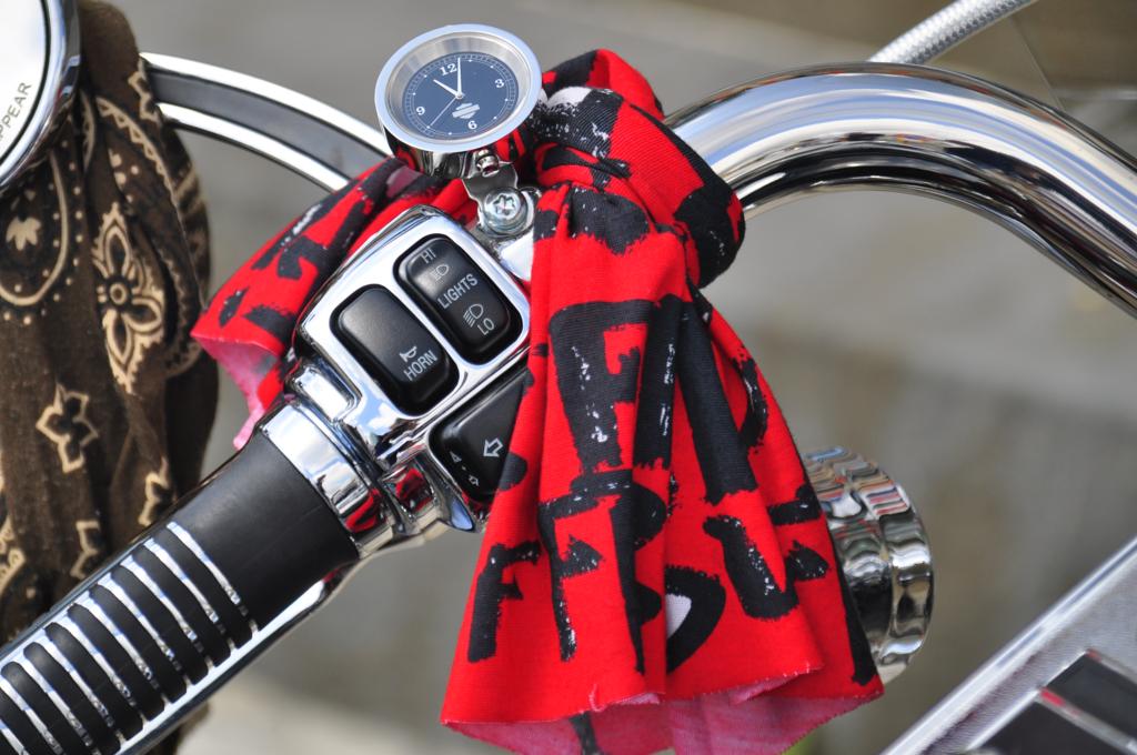 Raduno Harley