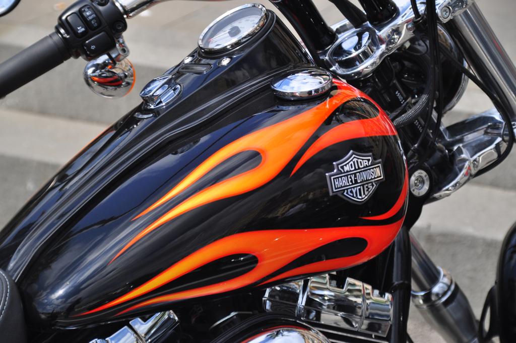Raduno Harley