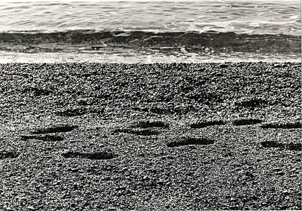 Spiaggia