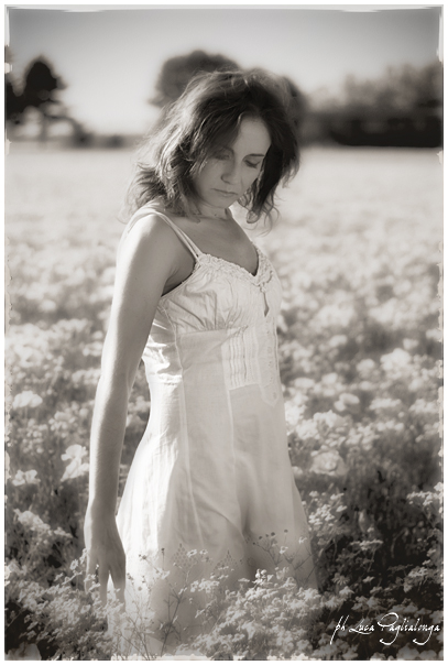 Memorie ...