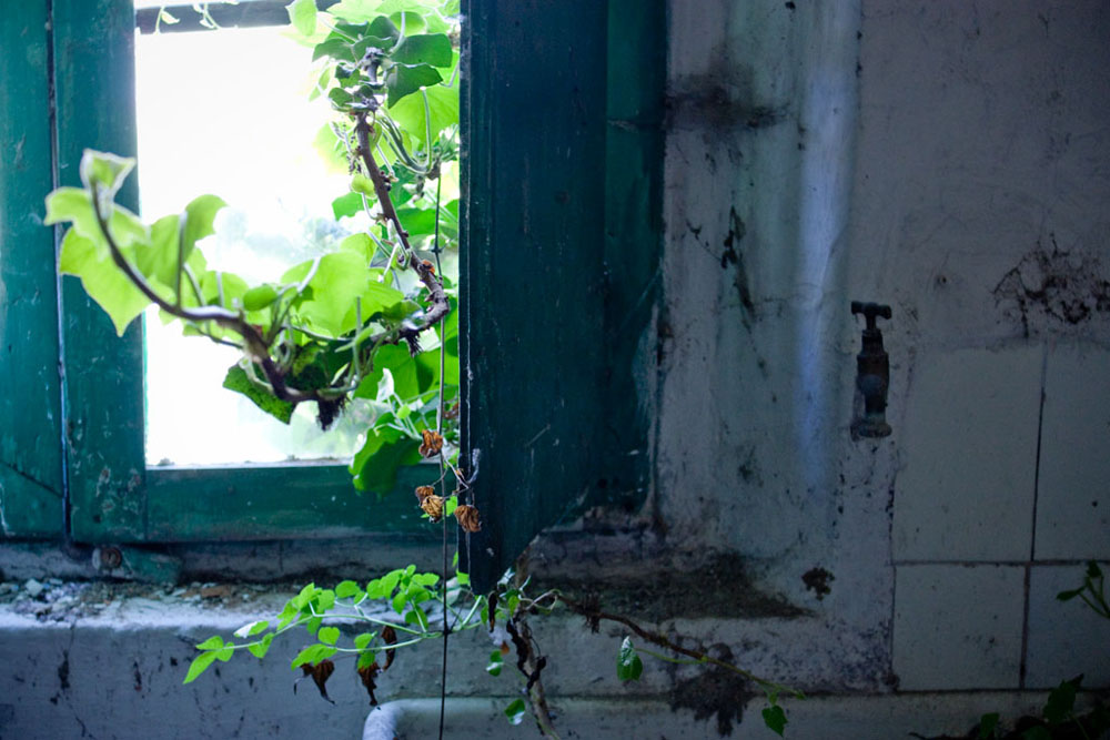 rovine