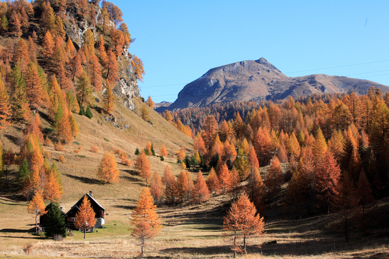 Alpe devero1