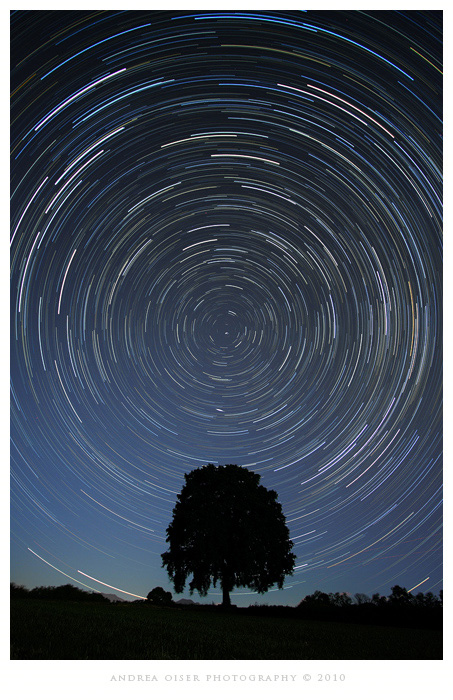 *Polaris* (di Andrea Oiser)