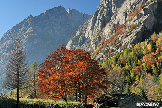 Colori di fine ottobre