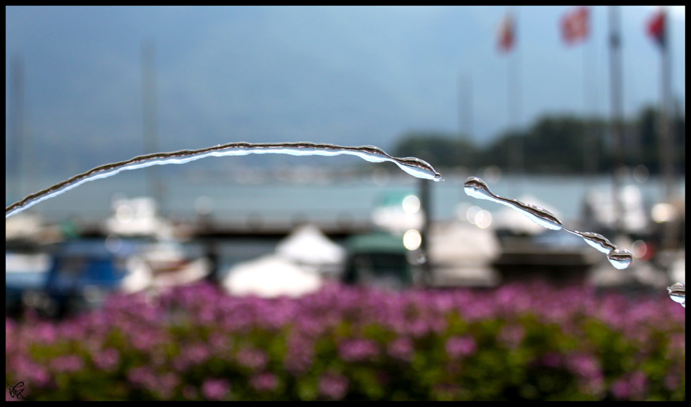 Acqua
