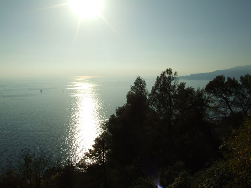 riflessi