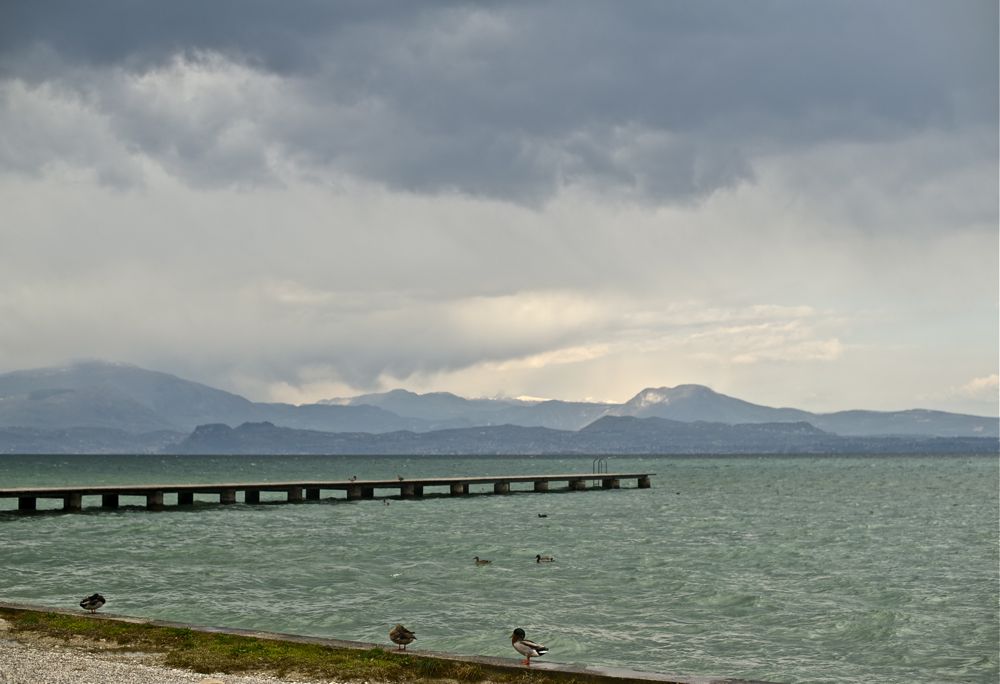 Lago 1