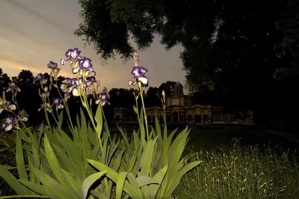 Giardini ducali