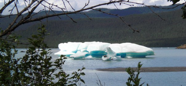 Alaska Crop