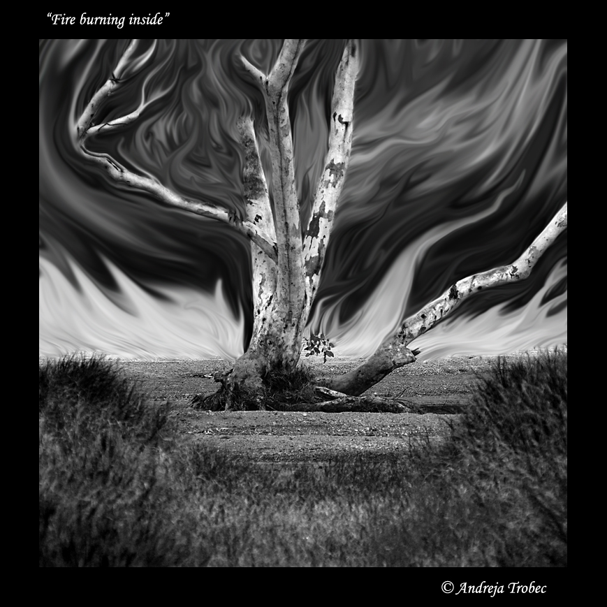 Fire burning inside