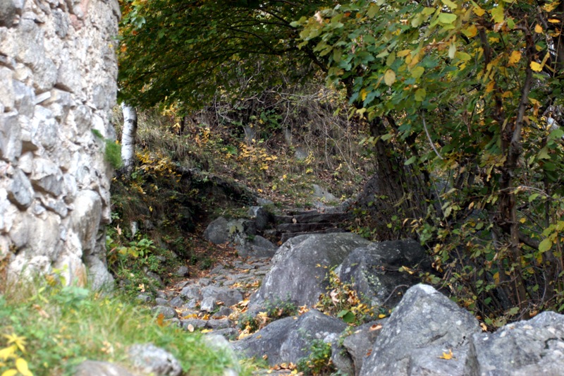colori9