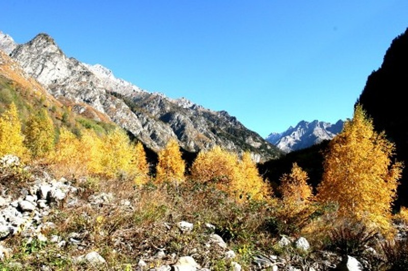colori10
