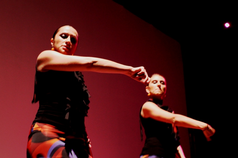 flamenco1