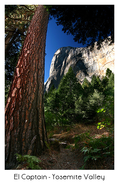 Yosemite Valley - El Captain