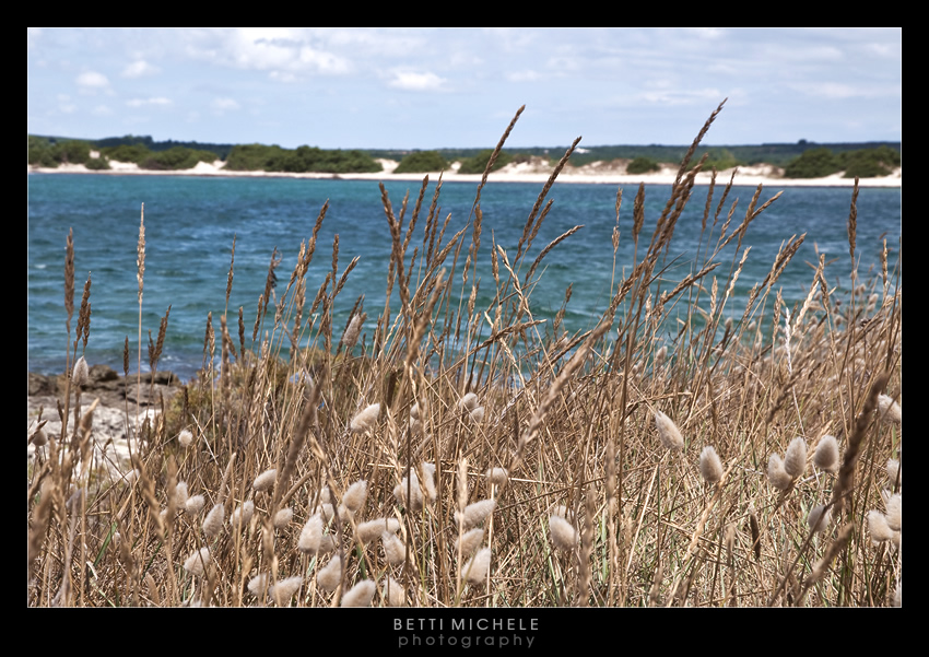 torre lapillo - puglia