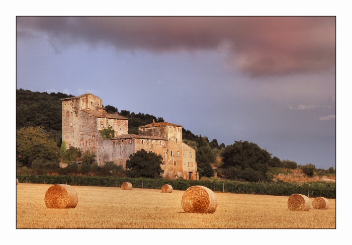 Sovicille
