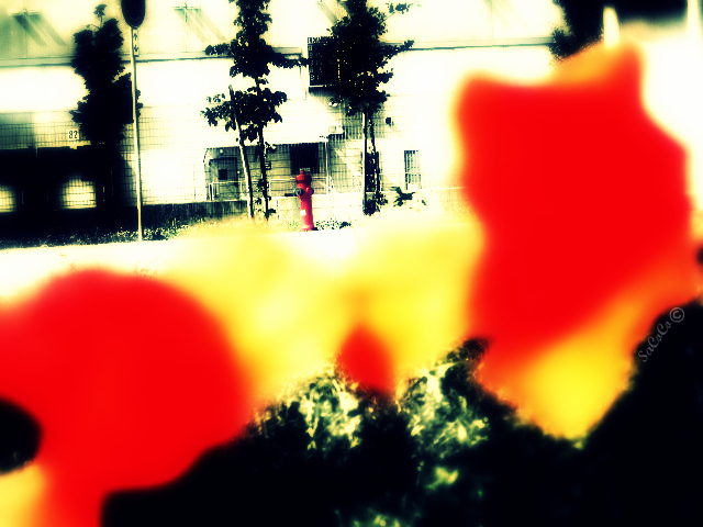 Kart'n'Flower