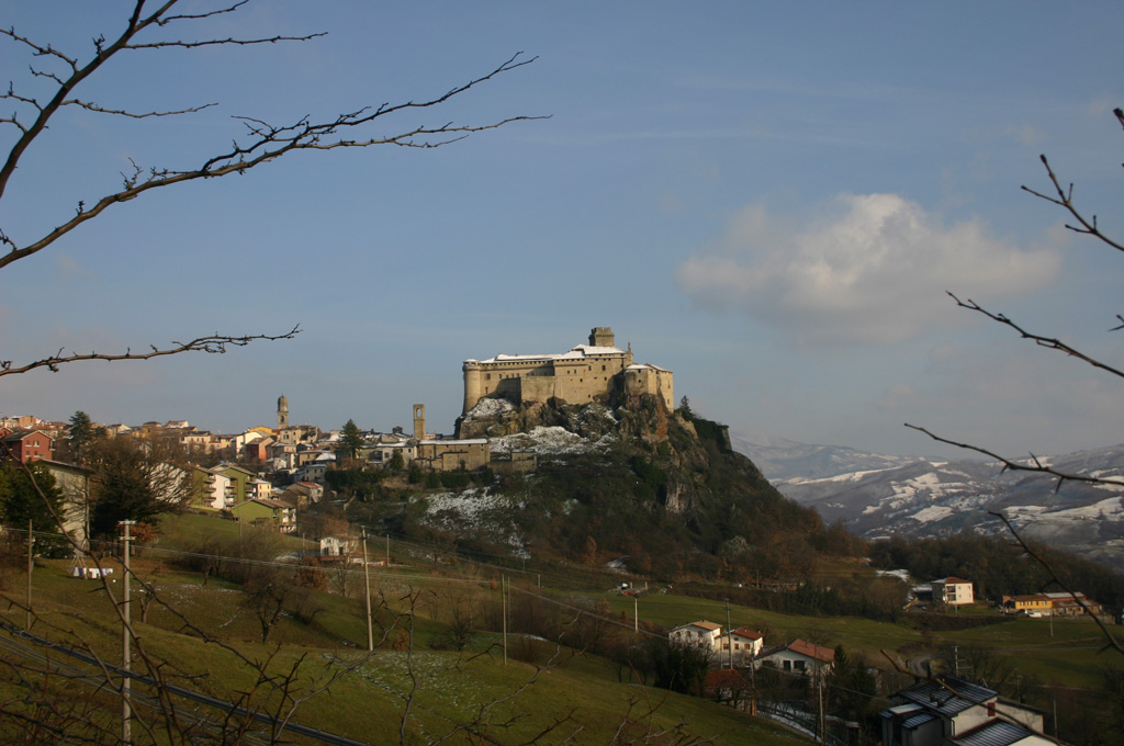 bardi totale