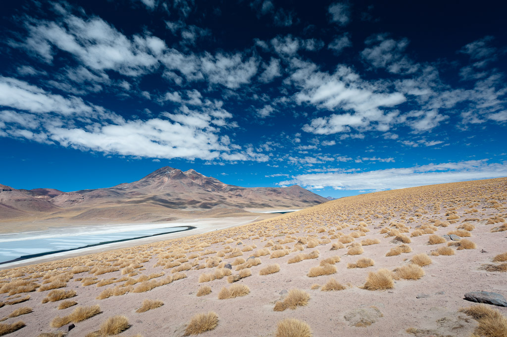 Laguna Miscanti