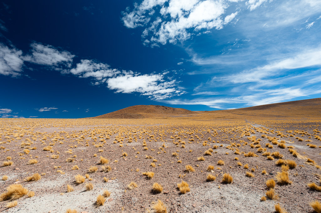 Altiplano Miscanti