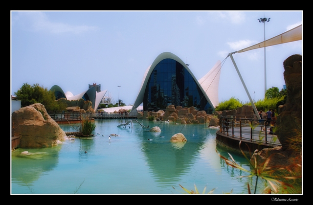 Oceanografico _ Valencia