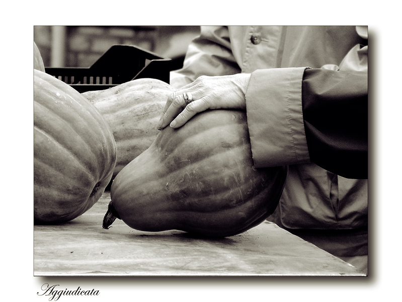 Halloween - Aggiudicata