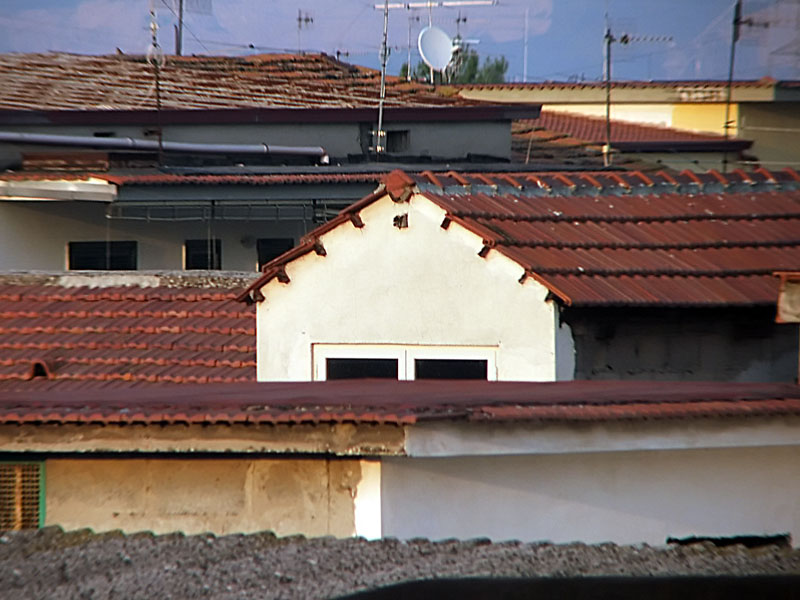 Prova con zoom ottico 10X + aggiuntivo 2x (totale 20X)
