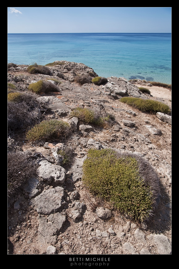 bagnara