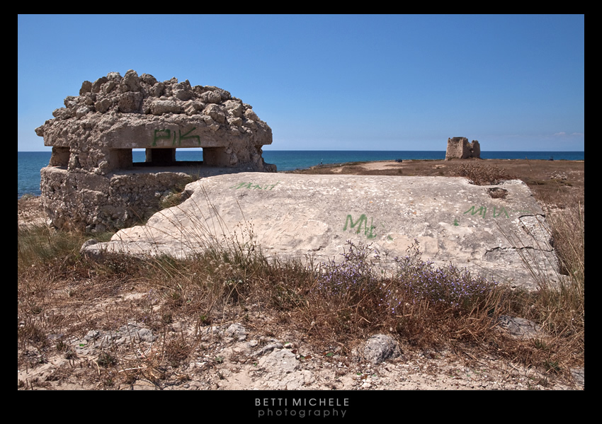 bagnara