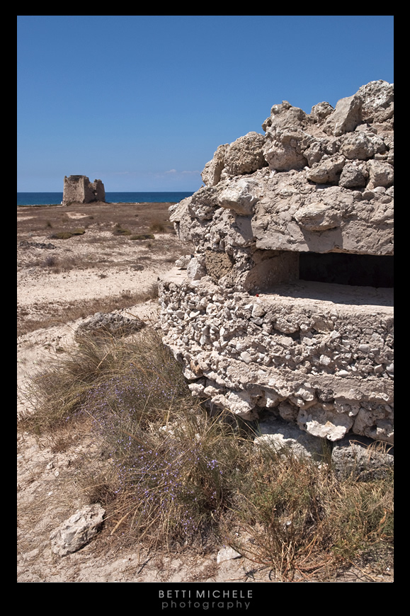 bagnara