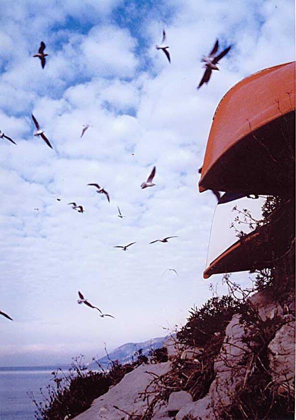 Camogli