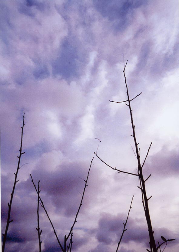 Natura 3