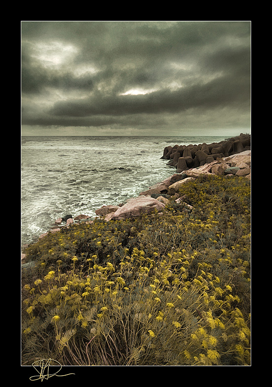 stormy seaside evening rep.10 ( theme on composition )