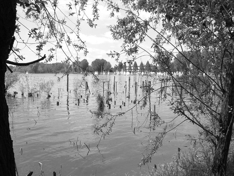 Scorcio Lago di Mantova