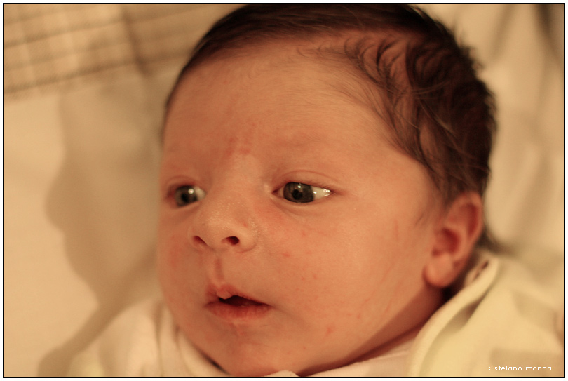 faccia da tapiro