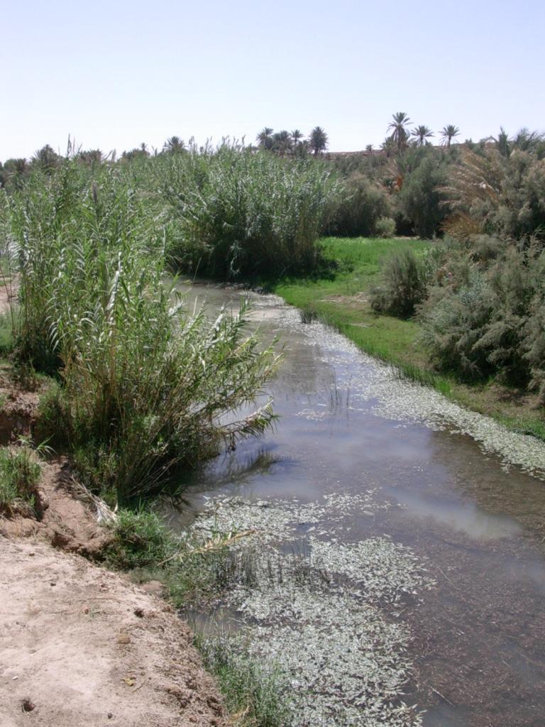 nella valle di fes
