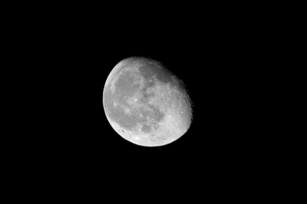 E la luna buss...