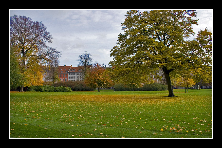 Rosenborg