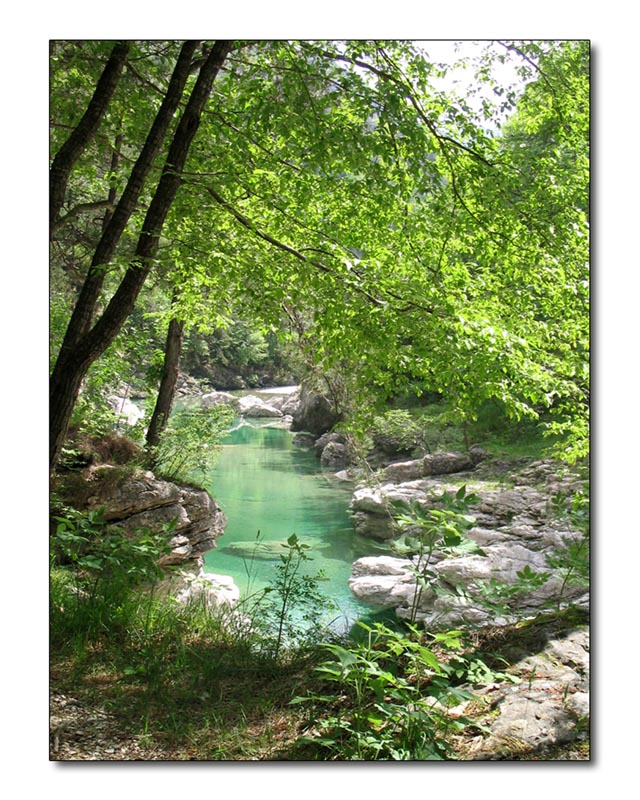 Torrente