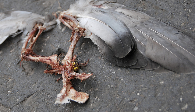 Life + Death