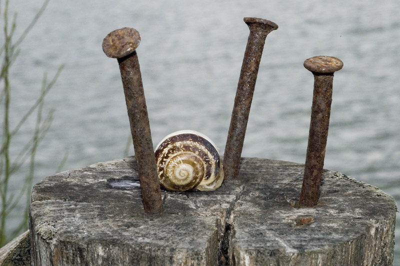 Colonne innaturali