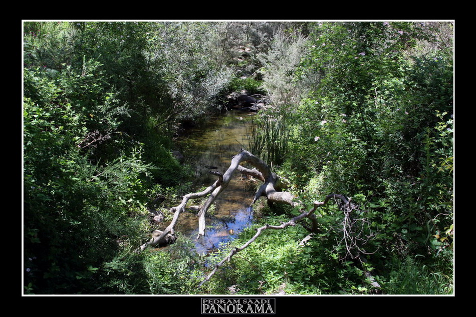 anima della natura