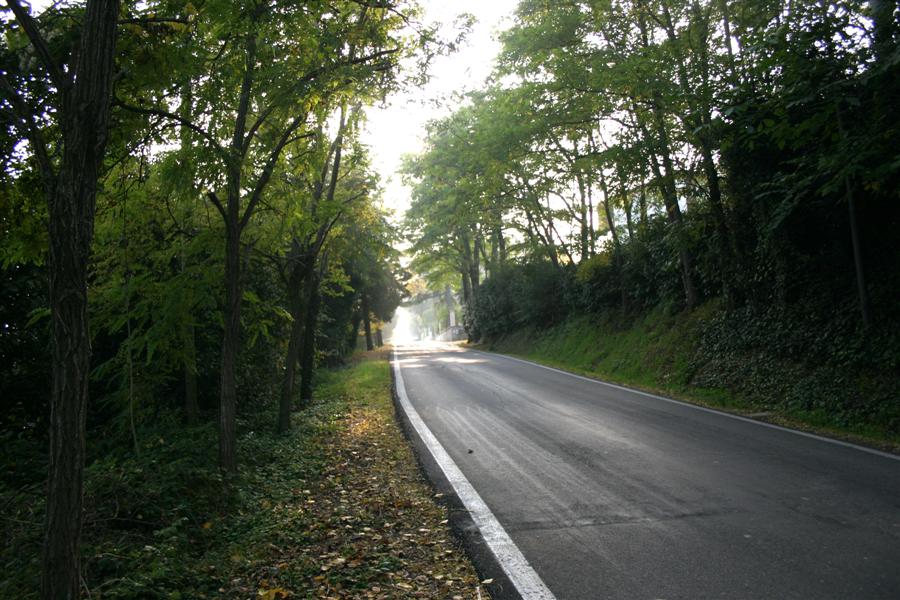 via di fuga