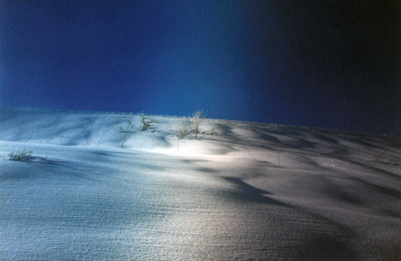 collina innevata!